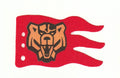 Santis Big Flag